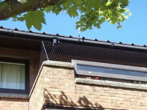 Pigeon Proofing Balconies 