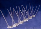 100m Plastic Pigeon Spikes - Special price of 2.25 per metre