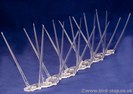 100m Plastic Pigeon Spikes - Special price of 2.25 per metre